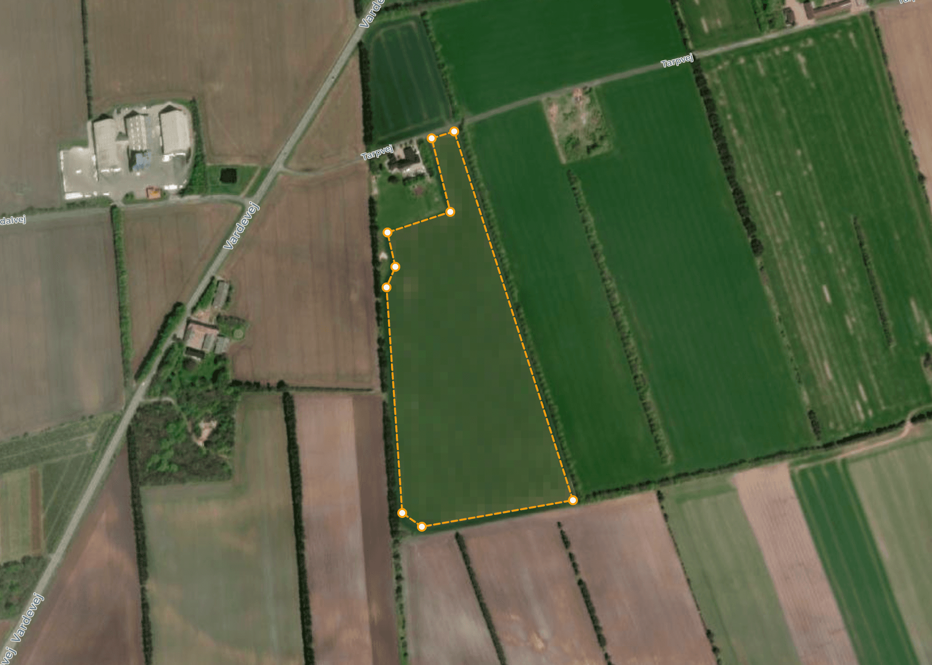 Farm fields overview